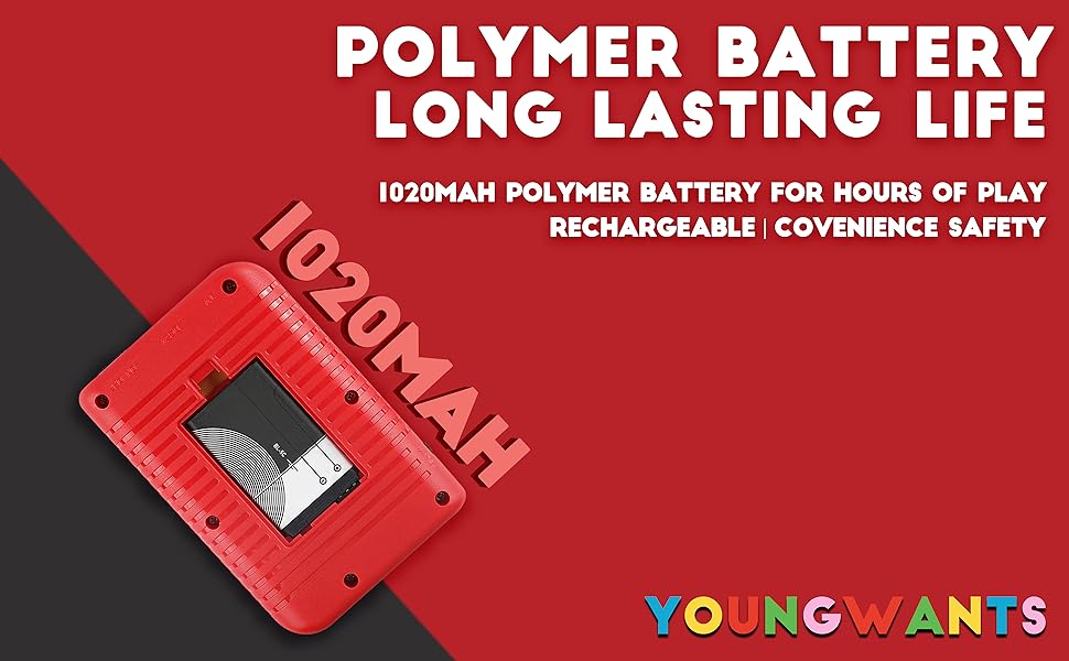 POLYMER BATTERY LONG LASTING LIFE